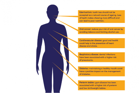 Wohd Infographic