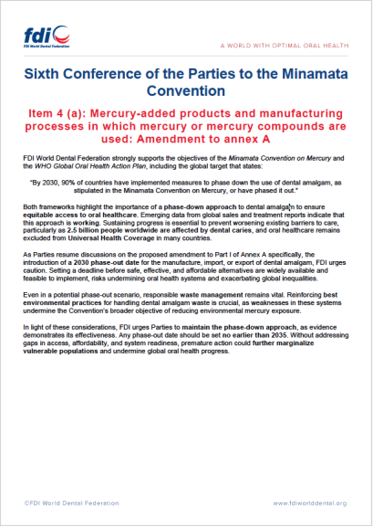 COP6 Statement Item 4(a)