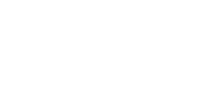 CE Programme logo white